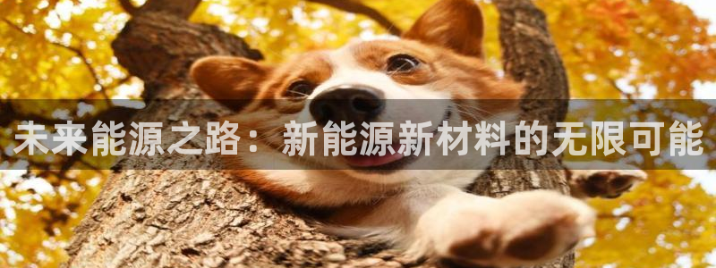 摩根娱乐宝手机客户端
