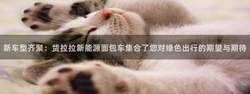 摩根娱乐公会创始人