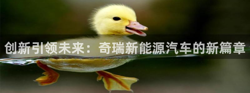 摩根娱乐50186选择：创新引领未来：奇