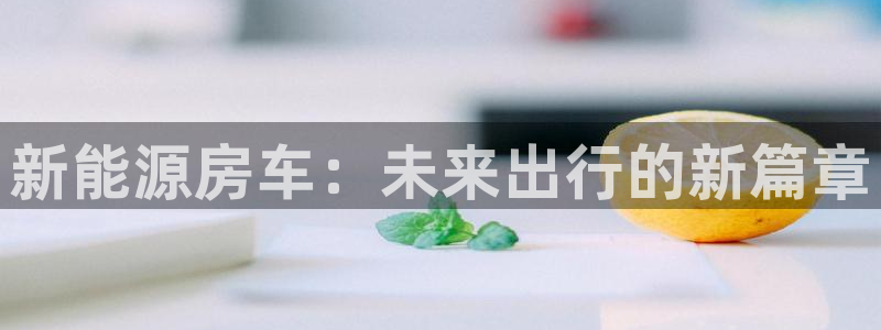 泉州摩根会娱乐保安公司：新能源房车：未来