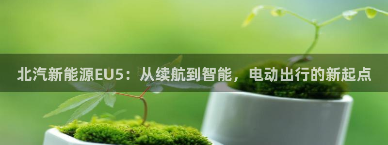 漳州摩根会娱乐