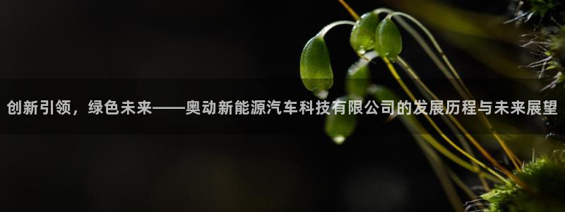泉州摩根会娱乐保安公司