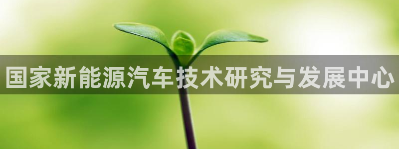 泉州摩根会娱乐保安