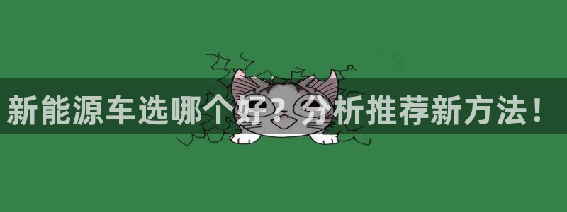 摩根娱乐是骗局吗?：新能源车选哪个好？分