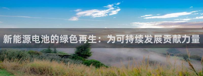 摩根娱乐 1老j板50820：新能源电池