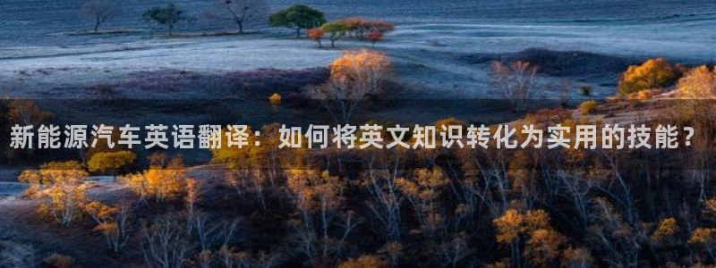 摩根娱乐app：新能源汽车英语翻译：如何