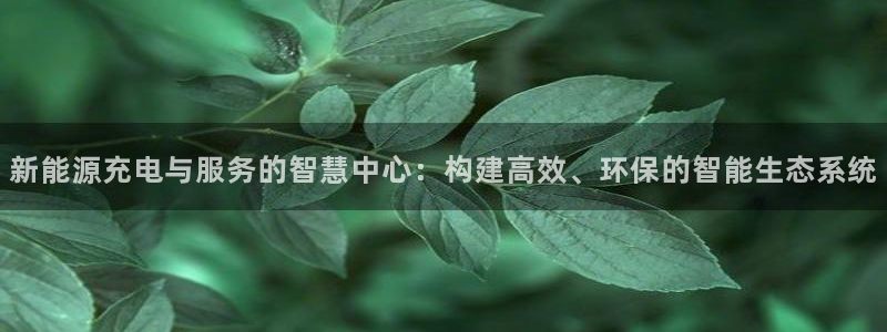 下载摩根国际娱乐宝