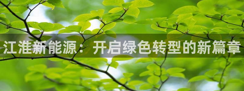 摩根娱乐挂机项目