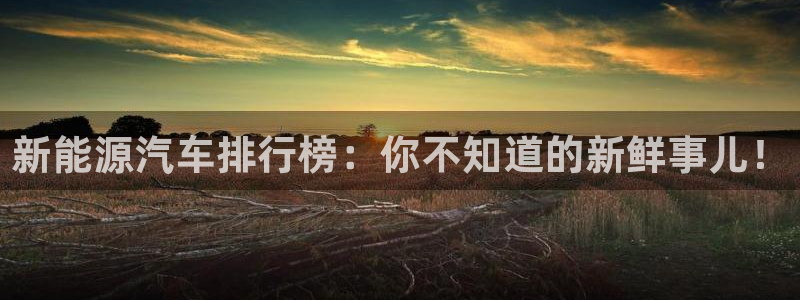 摩根国际娱乐宝