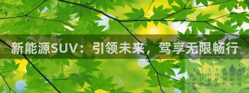 摩根娱乐宝是什么东西