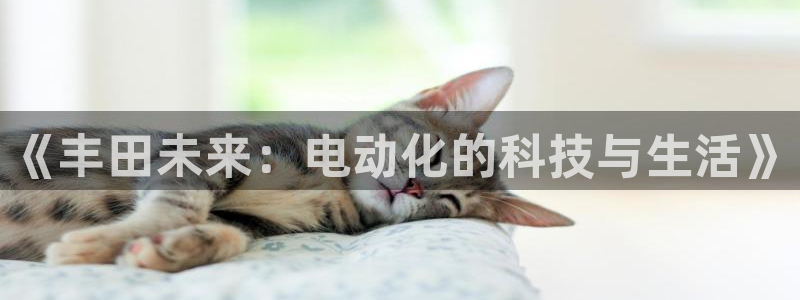 泉州摩根会娱乐有限公司：《丰田未来：电动