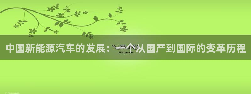 摩根国际娱乐宝下载：中国新能源汽车的发展