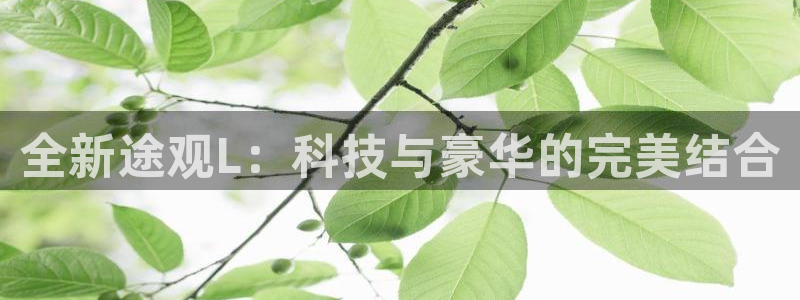 摩根娱乐宝微信客服