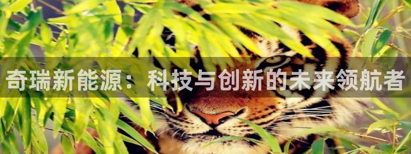 泉州摩根娱乐会所怎么样