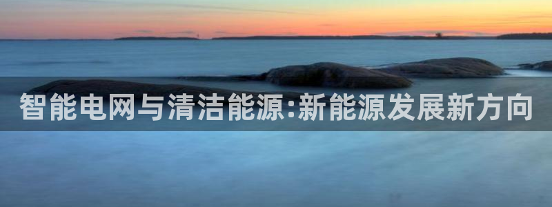 摩根娱乐 股s东50015：智能电网与清