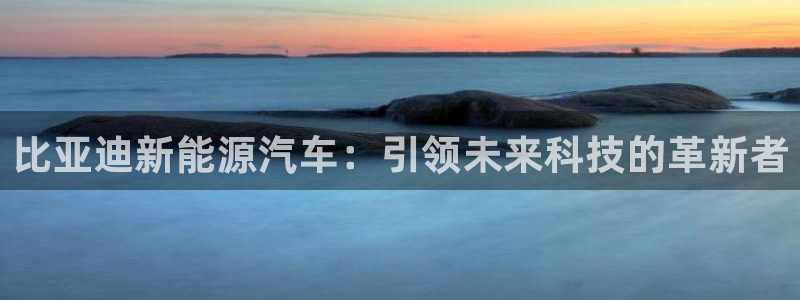 摩根娱乐宝登陆网址：比亚迪新能源汽车：引