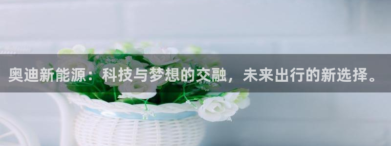 长春拉图摩根娱乐:奥迪新能源:科技与梦想的交融,未来出行的新