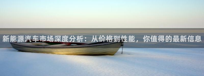 摩根娱乐包是什么意思:新能源汽车市场深度分析:从价格到性能,