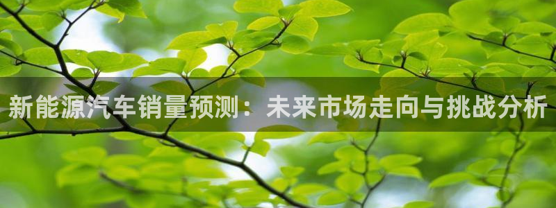 临平摩根娱乐会所电话:新能源汽车销量预测:未来市场走向与挑战