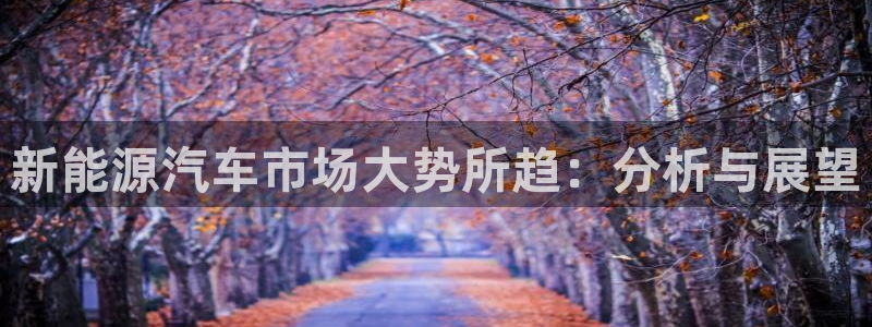 摩根娱乐宝是什么东西