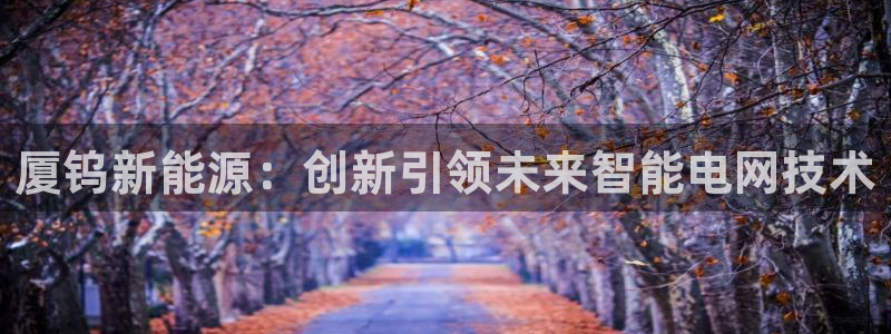 摩根娱乐宝怎么注册:厦钨新能源:创新引领未来智能电网技术