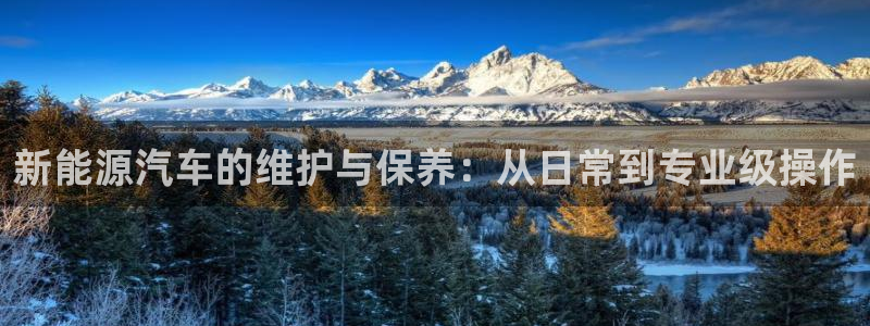 摩根餐饮娱乐:新能源汽车的维护与保养:从日常到专业级操作