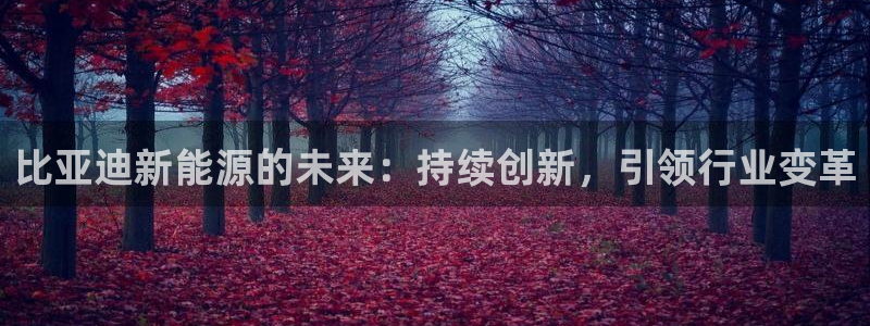 摩根大通黄金娱乐:比亚迪新能源的未来:持续创新,引领行业变革