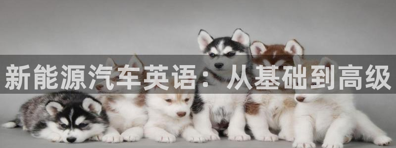 摩根娱乐宝是真的吗：新能源汽车英语：从基