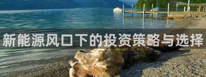 摩根娱乐宝口碑：新能源风口下的投资策略与