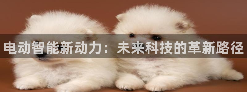 摩根娱乐宝是真的吗