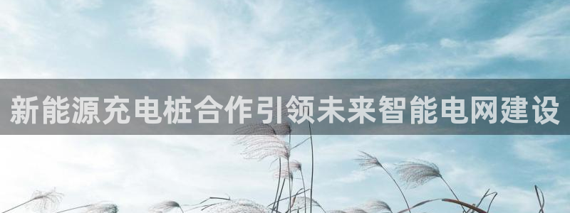 摩根国际娱乐：新能源充电桩合作引领未来智